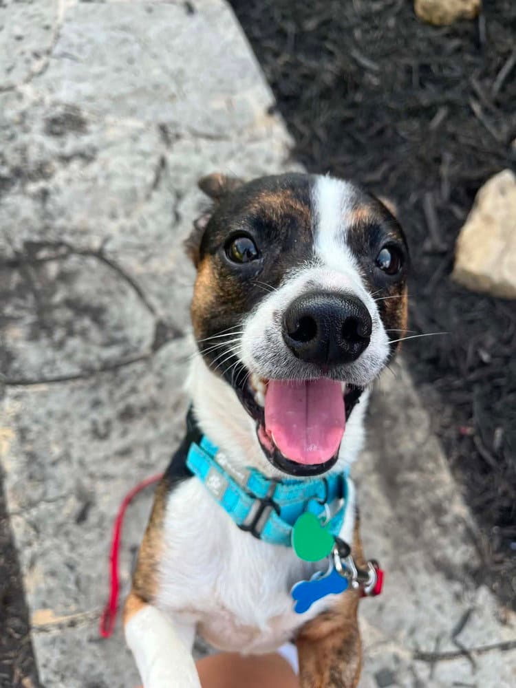 Max