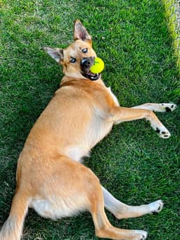 Winnie image 1
