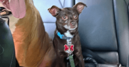 Boosie image 2