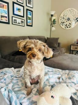 Monty image 3