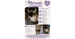 Miranda image 1