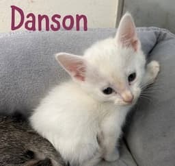Danson image 2