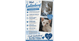 Guttenburg image 1
