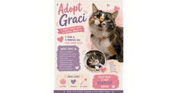 Graci image 1