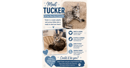 Tucker image 1