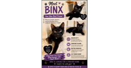 Binx image 1