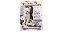 Princess Daisy image 1