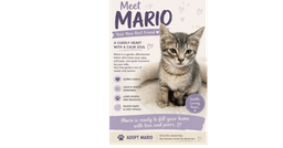 Mario image 1
