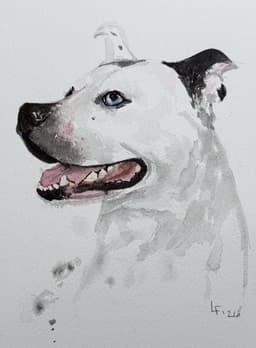 Nyla image 4