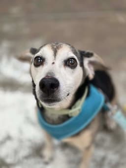 Finley image 2