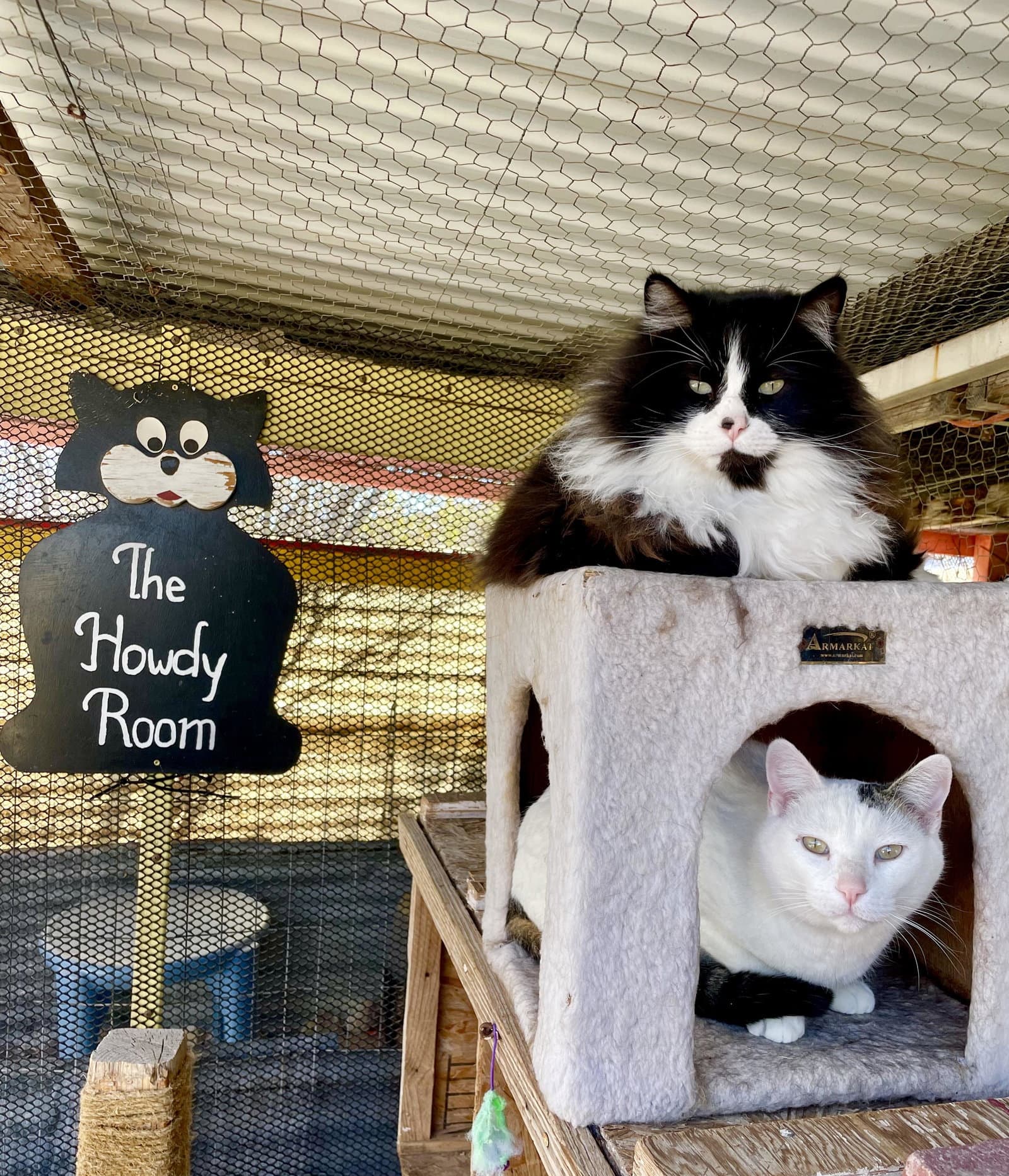 Alex And Feather -Together Forever - Tuxedo