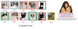 Gozer image 4