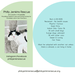Mew image 3