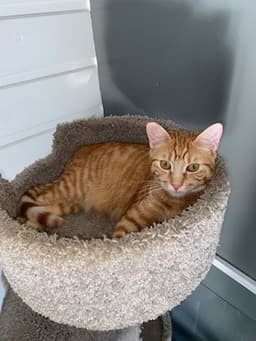 Titus image 4