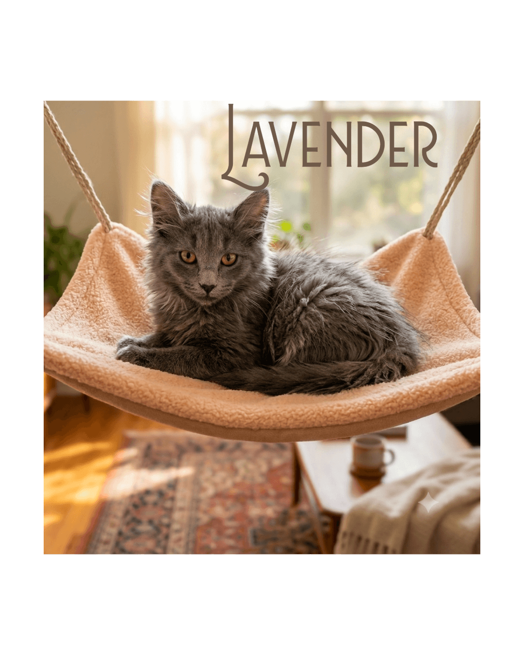 Lavender - Nebelung