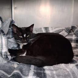 Max image 1