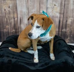 Mama image 3