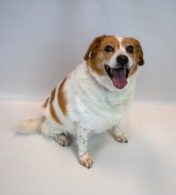 Hallie image 2