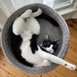 Katie image 3