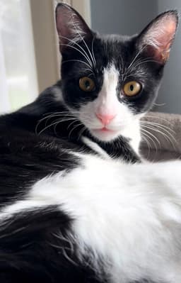 Katie image 4