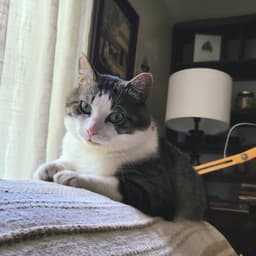 Sasha image 4