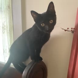 Missie image 3