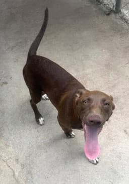 Jasper image 2