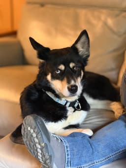 Kira image 3