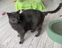 Elroy image 1