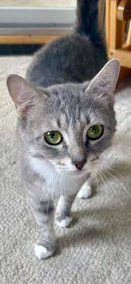 Minnie image 1