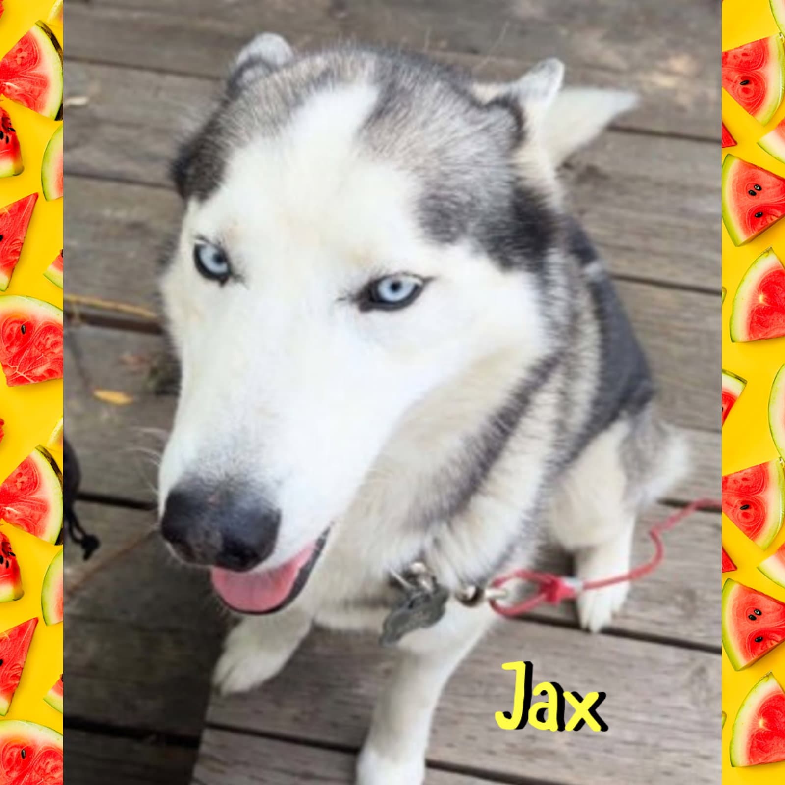Jax