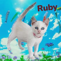 Ruby image 1