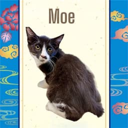 Moe image 1