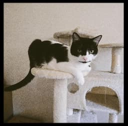 Sally image 1