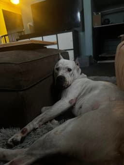 Ellie May image 3