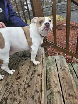 Roxy image 3