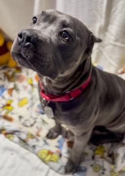 Winnie image 1