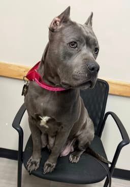 Winnie image 2