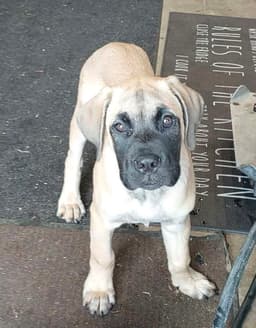 Bubs image 3