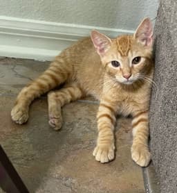 Billy image 1