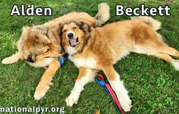 Alden  Beckett In Ky - Double The Love image 2