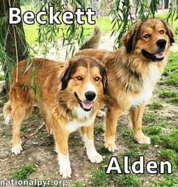 Alden  Beckett In Ky - Double The Love image 3