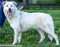 Hannah In Tn - Sweet And Loving image 2