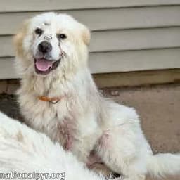 Parker In Tn - Happy Boy Who Loves Everyone image 1