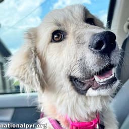 Maggie Mae In Al - Playful Sweet  Loving image 1