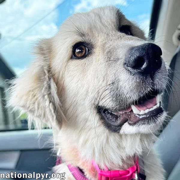 Maggie Mae In Al - Playful Sweet  Loving