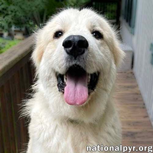 Merida In Ga - Sweet  Playful