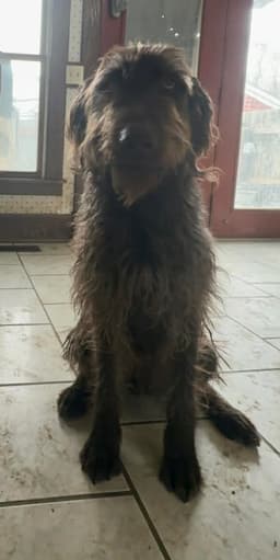 Leroy image 1