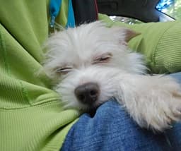 Gwen image 1