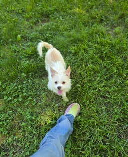 Gwen image 2